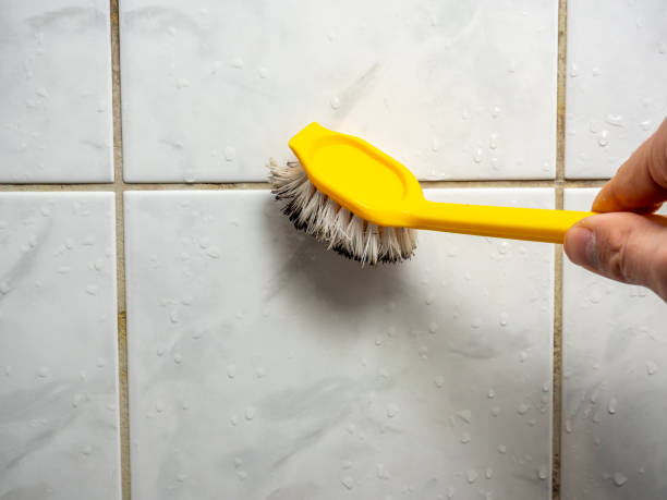 Best Mold Removal Near Me  in Haskell, AR